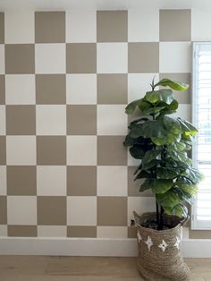 a potted plant sitting on top of a wooden floor next to a white and gray checkered wall