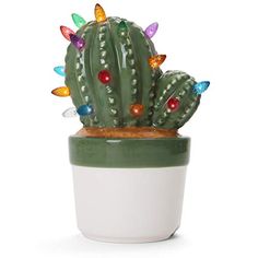 a potted cactus with colorful lights on it