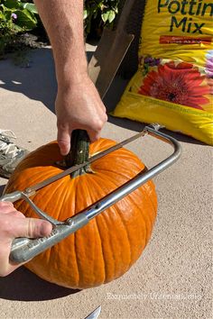 a person is cutting into a pumpkin with a garden shears on the side of it