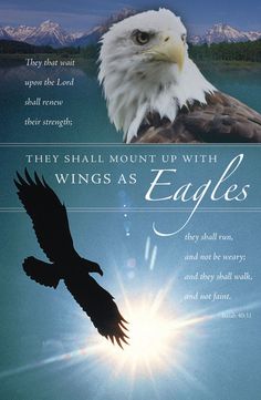 an eagle with the words they shall mount up with wings as eagles