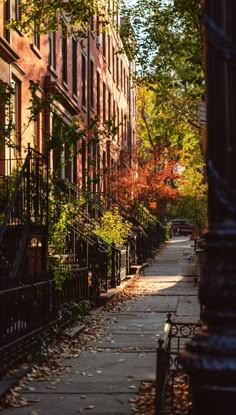 an empty sidewalk in the fall with leaves on the ground and trees lining both sides