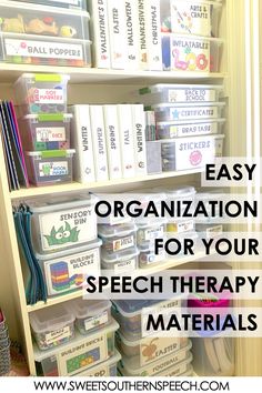 organized shelves with boxes and bins in the middle, text overlay reads easy organization for your speech therapy materials