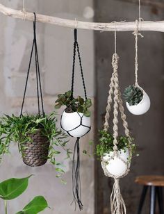 three hanging planters with plants in them, one is white and the other is black