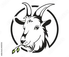 goat head with long horns and green leaves in the mouth logo design stock photo image