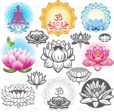 lotus flowers and symbols for yoga