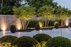 an outdoor garden with trees and bushes lit up by lights in the night time area