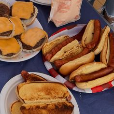 hot dogs, hamburgers and cheese sandwiches on plates