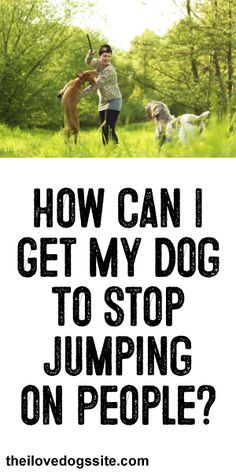 a woman is walking her dogs in the grass with text that reads, how can i get my dog to stop jumping on people?