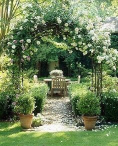 a garden with white flowers and greenery