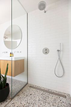 a bathroom with a shower, sink and mirror next to a potted cacti