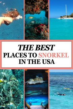 Best Snorkeling in the USA Best Snorkeling, Coral Reefs, Crystal Clear Water