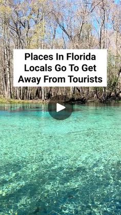 Florida State Parks, Places In Florida, Florida Lifestyle, Manatees, Adventure Nature, Tourist Trap