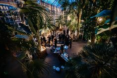 a group of people standing around in a room filled with palm trees and potted plants