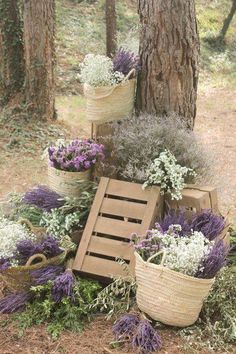 lavenders in wicker baskets on the ground next to a tree