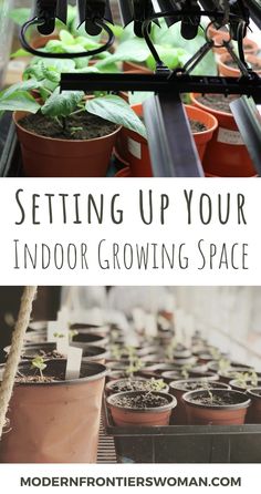 an indoor growing space with potted plants and the words setting up your indoor growing space