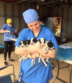 a woman in scrubs holding five puppies on her arms and smiling at the camera