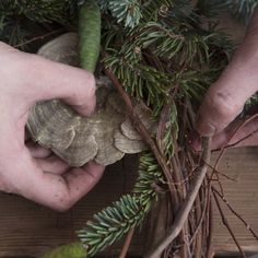 two hands are holding branches with leaves and cones on them, while another hand is placing something in the center of the branch