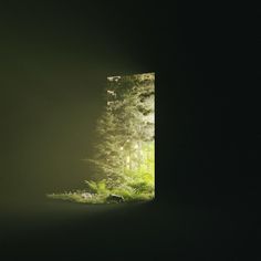 an open door leading into a forest filled with lots of green plants and trees in the dark