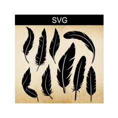 the svg feathers are black and white, but it's not clear to see them