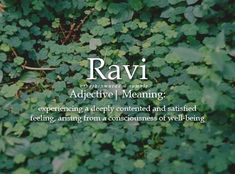 the words ravi are written in white on top of green plants with leaves around them