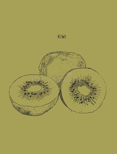 kiwi fruit on a green background royalty illustration