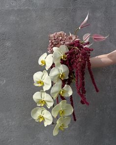 a person holding a bunch of flowers in their hand on the cement wall behind them