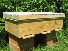 a beehive in the grass near some bushes