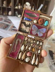 a person holding an open box with seashells and other things inside it on a table