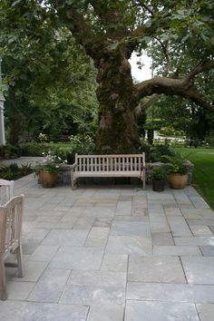 a wooden bench sitting next to a large tree in a park with potted plants