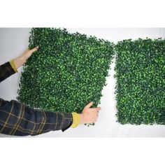 two hands are touching the top of a boxwood hedge