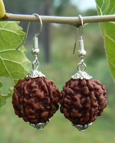 Rudraksha earrings with sterling silver hooks, Shiva bead, Healing seed, Nature vegan jewelry, Spiri Spiritual Teardrop Nickel-free Jewelry, Nickel-free Teardrop Spiritual Jewelry, Festival Jewelry With Round Beads And Ear Wire, Spiritual Sterling Silver Teardrop Earrings, Spiritual Teardrop Sterling Silver Earrings, Traditional Hypoallergenic Drop Earrings, Spiritual Teardrop Hypoallergenic Jewelry, Spiritual Hypoallergenic Teardrop Jewelry, Spiritual Hypoallergenic Earrings As Gift