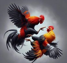 two colorful roosters flying in the air with their wings spread out and facing each other