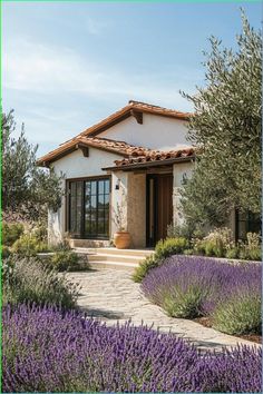 a house with lavender flowers in the front yard and walkway leading up to it's entrance