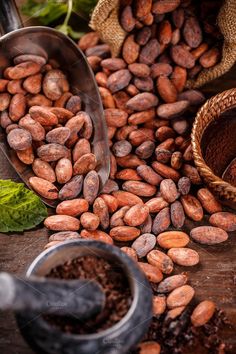 cocoa beans and ground coffee on a wooden table with scoops, leaves and spoons