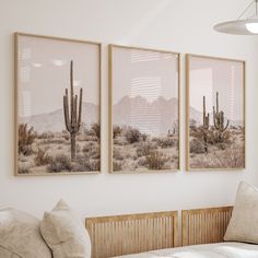 three framed pictures hang on the wall above a bed