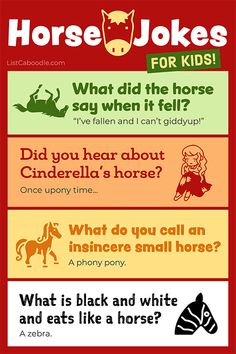 99 Horse Jokes For Kids (& Horse Lovers!) | ListCaboodle Kids Jokes And Riddles, Grandpa Jokes, Farm Jokes, Kid Friendly Jokes, Kids Lunch Box Notes, Kid Jokes, Horse Jokes, Kids Jokes, Kids Questions