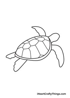 a turtle swimming in the ocean coloring page