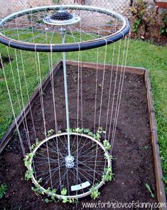 an upside down bike tire trellis in the garden with text overlay that reads, how to make a bicycle tire trellis