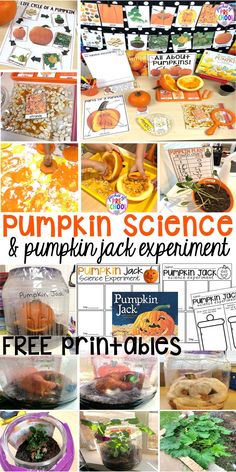 pumpkin science and pumpkin activities for kids with free printables to help them learn