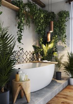 a bathtub surrounded by potted plants and other greenery in a modern bathroom