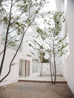 an empty courtyard with trees in the foreground and stairs leading up to the second floor