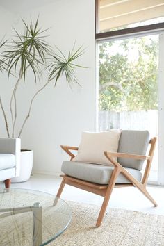 a living room with a glass table, chair and potted plant in the corner