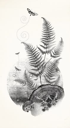 an ink drawing of ferns and butterflies flying over the water in front of a body of water