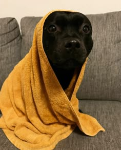 a black dog wrapped in a yellow towel sitting on top of a couch with it's eyes open