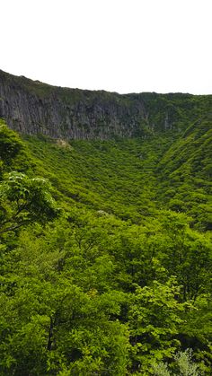 a lush green forest filled with lots of trees and tall mountains covered in rock formations