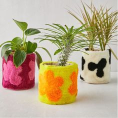 three potted plants in different colors and shapes on a white surface with one planter