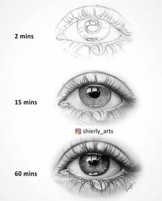 three different types of eyes and their measurements