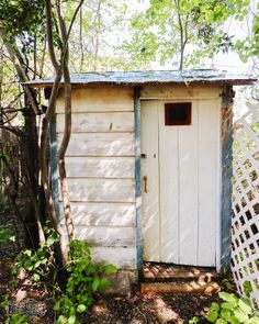 an outhouse in the woods with a door and window on it's side