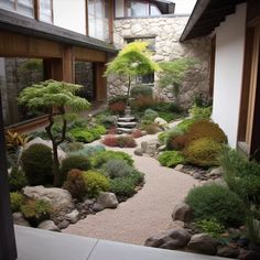 a garden with rocks and plants in the center, surrounded by stone steps leading up to two windows