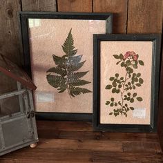 two framed pictures with leaves and flowers on them